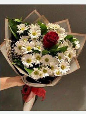 Papatya ve Tek Krmz Gl